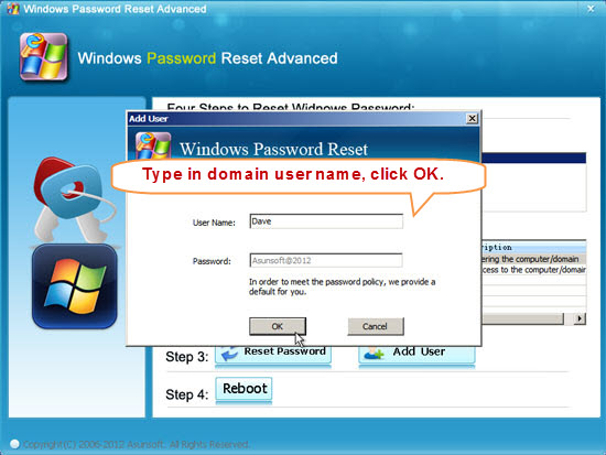 reset Windows 2008 domain user password