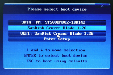 Example Boot Device selection menu