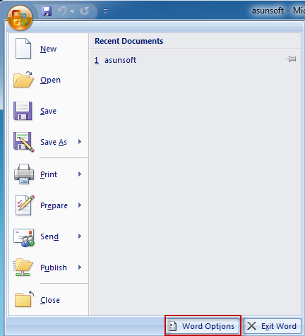Word Options